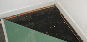Bitumen/Mastic Products