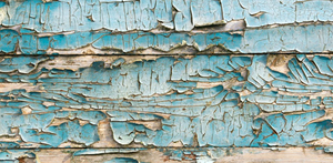 Lead Paint Surveys