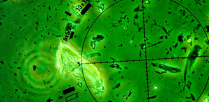 Asbestos Air Monitoring