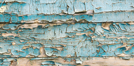 lead paint surveys