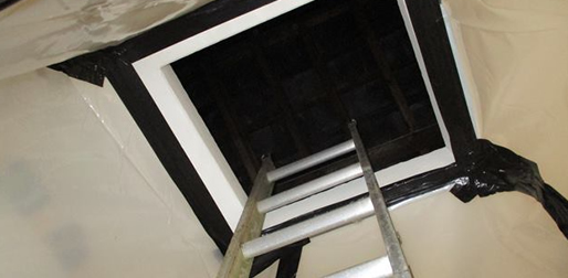 lead paint surveys